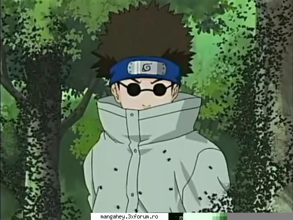 Shino Aburame - Hakusho - Naruto